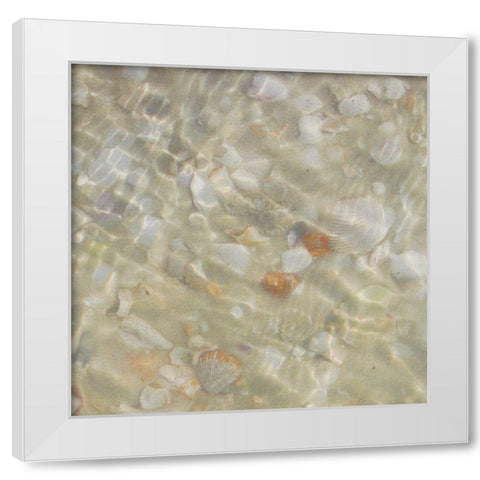 Shell Squares II White Modern Wood Framed Art Print by Ilosky, Pam