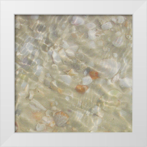 Shell Squares II White Modern Wood Framed Art Print by Ilosky, Pam
