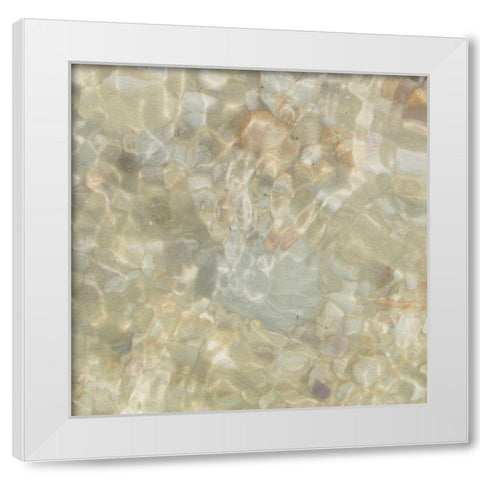 Shell Squares III White Modern Wood Framed Art Print by Ilosky, Pam