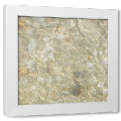 Shell Squares IV White Modern Wood Framed Art Print by Ilosky, Pam