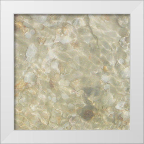 Shell Squares IV White Modern Wood Framed Art Print by Ilosky, Pam
