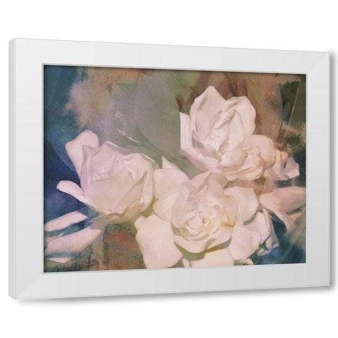Blush Gardenia Beauty II White Modern Wood Framed Art Print by Chandler, Sharon
