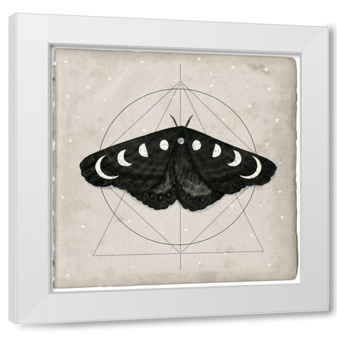 Midnight Moth I White Modern Wood Framed Art Print by Borges, Victoria