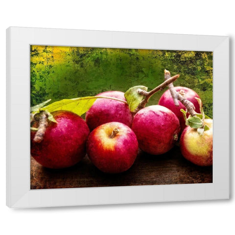 The Harvest I White Modern Wood Framed Art Print by Perry, Rachel