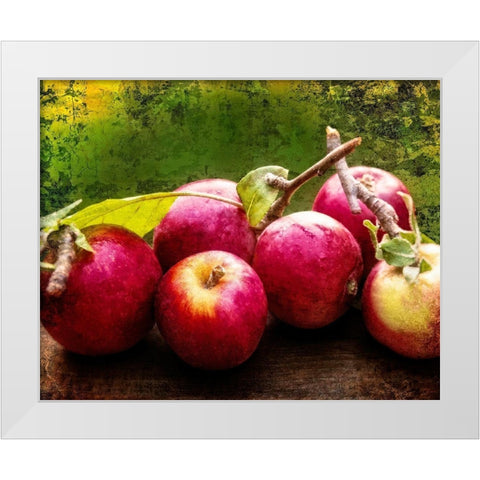 The Harvest I White Modern Wood Framed Art Print by Perry, Rachel