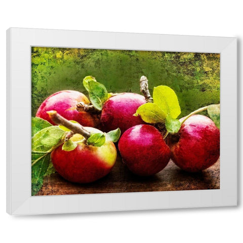 The Harvest II White Modern Wood Framed Art Print by Perry, Rachel