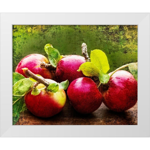 The Harvest II White Modern Wood Framed Art Print by Perry, Rachel