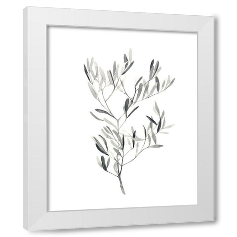 Paynes Grey Botanicals IV White Modern Wood Framed Art Print by Scarvey, Emma