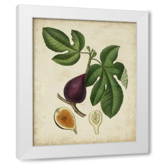 Perspective Image