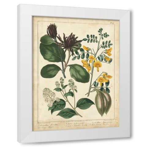Non-Embellish Enchanted Garden I White Modern Wood Framed Art Print by Edwards, Sydenham