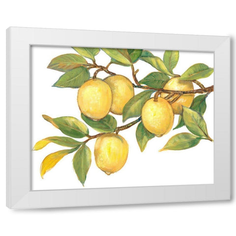 Ripe for Picking I White Modern Wood Framed Art Print by OToole, Tim