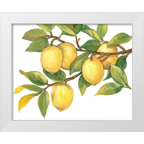 Ripe for Picking I White Modern Wood Framed Art Print by OToole, Tim