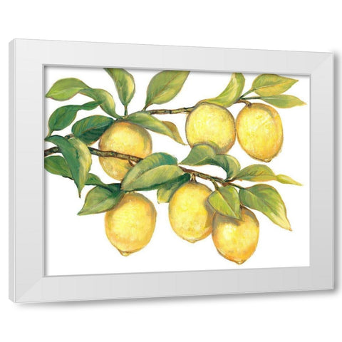 Ripe for Picking II White Modern Wood Framed Art Print by OToole, Tim