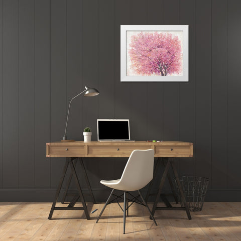 Pink Cherry Blossom Tree II White Modern Wood Framed Art Print by OToole, Tim