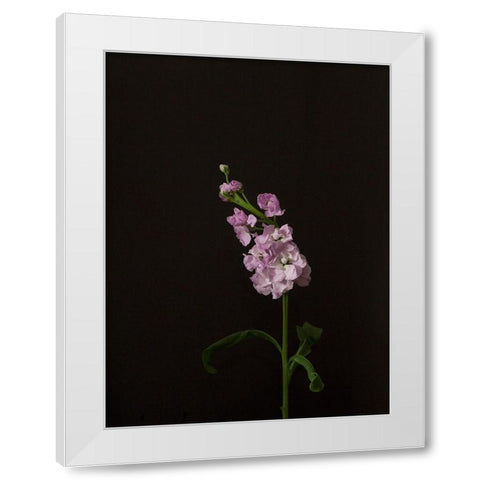 Dark and Dreamy III White Modern Wood Framed Art Print by Stramel, Renee W.