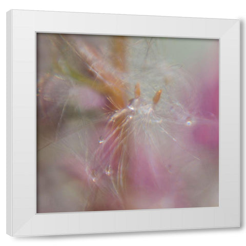 Fairy Dance II White Modern Wood Framed Art Print by Hunt, Gillian