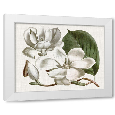 Curtis Magnolia I White Modern Wood Framed Art Print by Curtis
