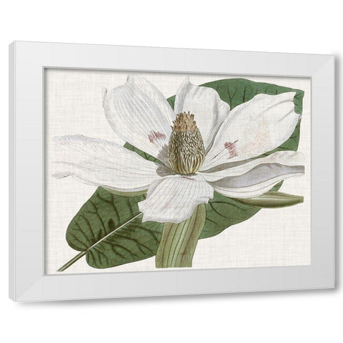 Curtis Magnolia II White Modern Wood Framed Art Print by Curtis