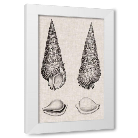 Charcoal and Linen Shells I White Modern Wood Framed Art Print by Vision Studio
