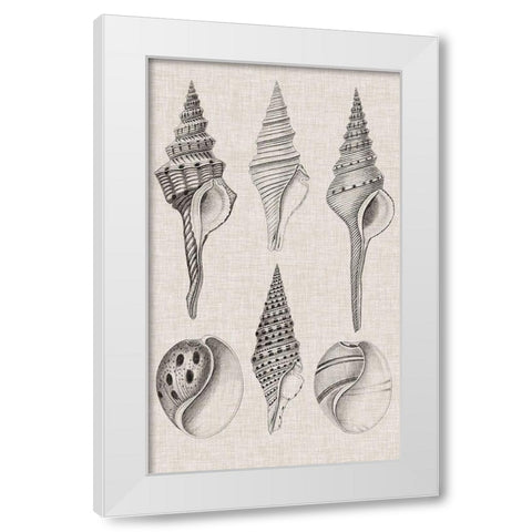 Charcoal and Linen Shells II White Modern Wood Framed Art Print by Vision Studio
