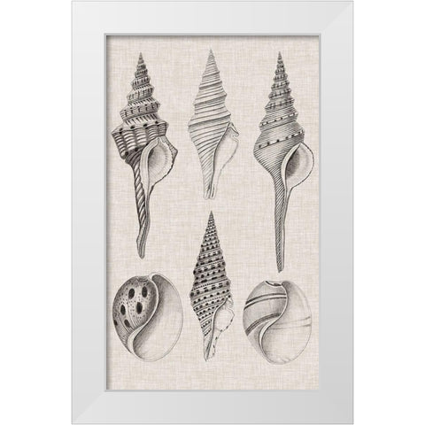 Charcoal and Linen Shells II White Modern Wood Framed Art Print by Vision Studio