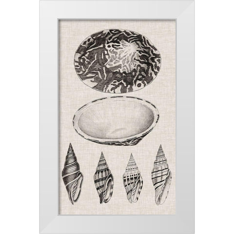 Charcoal and Linen Shells III White Modern Wood Framed Art Print by Vision Studio