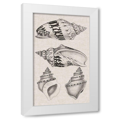 Charcoal and Linen Shells IV White Modern Wood Framed Art Print by Vision Studio