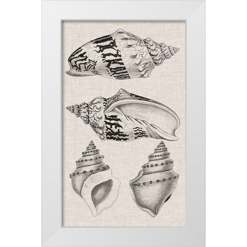 Charcoal and Linen Shells IV White Modern Wood Framed Art Print by Vision Studio