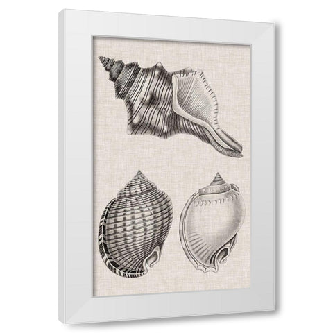 Charcoal and Linen Shells V White Modern Wood Framed Art Print by Vision Studio