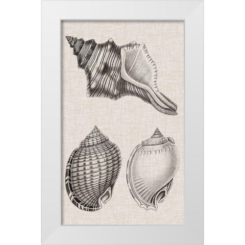 Charcoal and Linen Shells V White Modern Wood Framed Art Print by Vision Studio