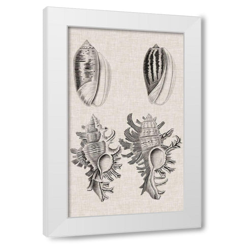 Charcoal and Linen Shells VII White Modern Wood Framed Art Print by Vision Studio