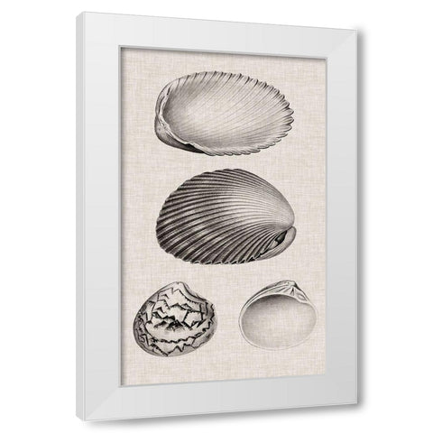 Charcoal and Linen Shells VIII White Modern Wood Framed Art Print by Vision Studio