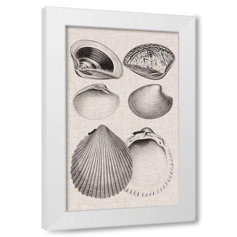 Charcoal and Linen Shells IX White Modern Wood Framed Art Print by Vision Studio