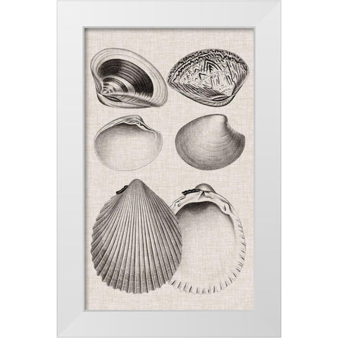 Charcoal and Linen Shells IX White Modern Wood Framed Art Print by Vision Studio