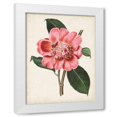 Carnelian Blooms I White Modern Wood Framed Art Print by Curtis