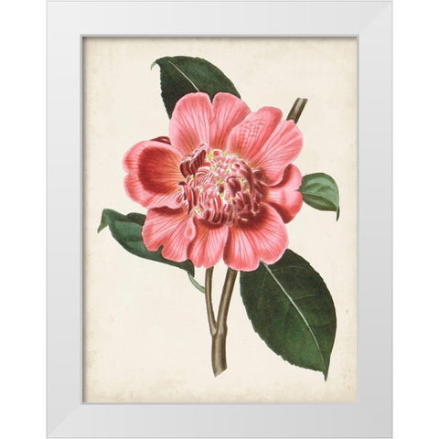 Carnelian Blooms I White Modern Wood Framed Art Print by Curtis