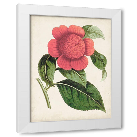 Carnelian Blooms II White Modern Wood Framed Art Print by Curtis