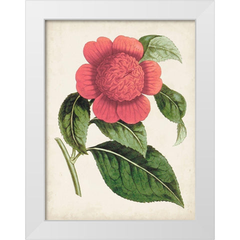 Carnelian Blooms II White Modern Wood Framed Art Print by Curtis