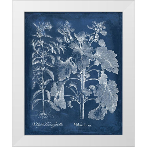 Besler Leaves in Indigo I White Modern Wood Framed Art Print by Vision Studio