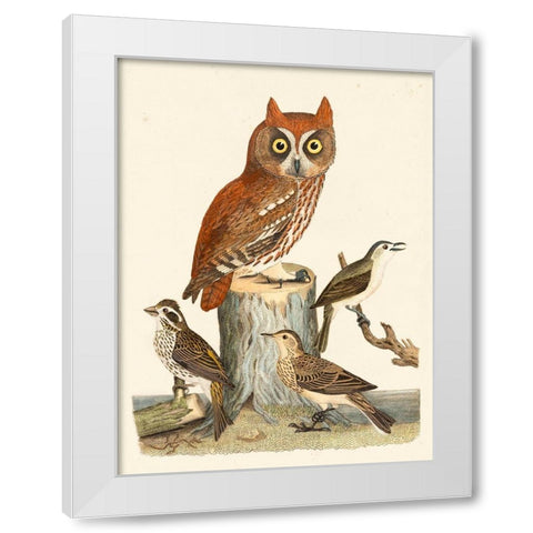 Wilson Owls II White Modern Wood Framed Art Print by Wilson, Alexander