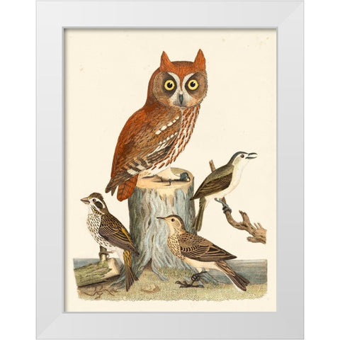 Wilson Owls II White Modern Wood Framed Art Print by Wilson, Alexander