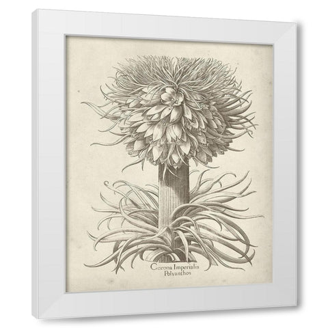 Fresco Crown Imperial I White Modern Wood Framed Art Print by Vision Studio