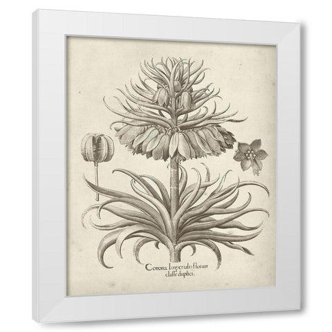 Fresco Crown Imperial III White Modern Wood Framed Art Print by Vision Studio