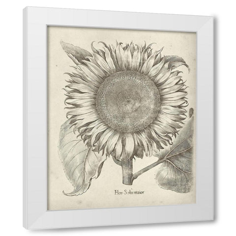 Fresco Sunflower I White Modern Wood Framed Art Print by Vision Studio