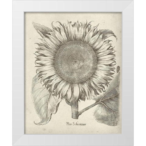 Fresco Sunflower I White Modern Wood Framed Art Print by Vision Studio