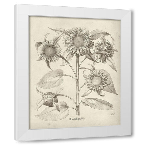 Fresco Sunflower II White Modern Wood Framed Art Print by Vision Studio