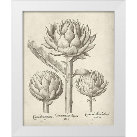 Fresco Artichoke II White Modern Wood Framed Art Print by Vision Studio