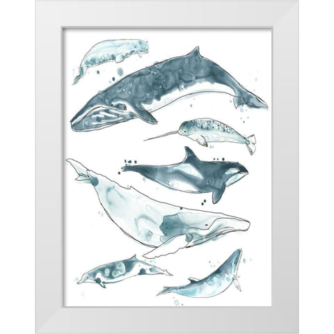 Cetacea I White Modern Wood Framed Art Print by Vess, June Erica