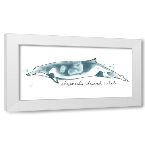 Cetacea Shepherds Beak Whale White Modern Wood Framed Art Print by Vess, June Erica