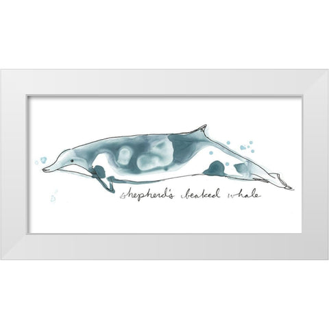 Cetacea Shepherds Beak Whale White Modern Wood Framed Art Print by Vess, June Erica